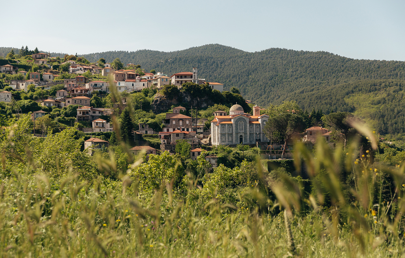 Βαμβακού Λακωνία