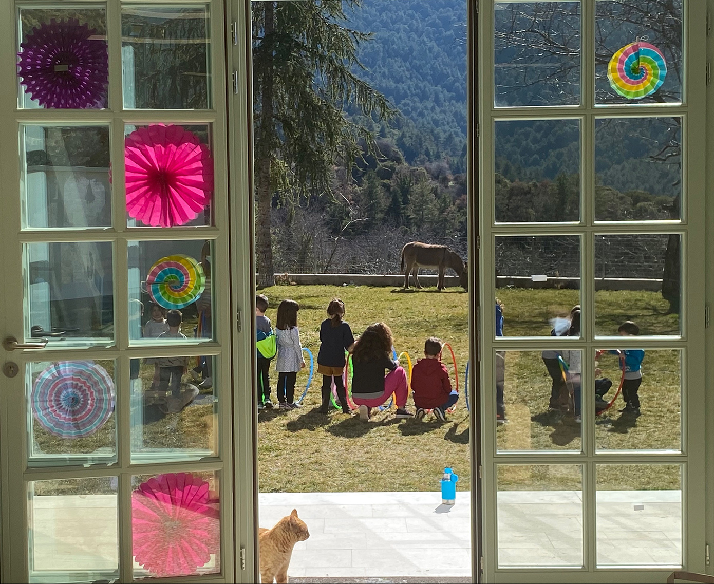 Βαμβακού Λακωνία