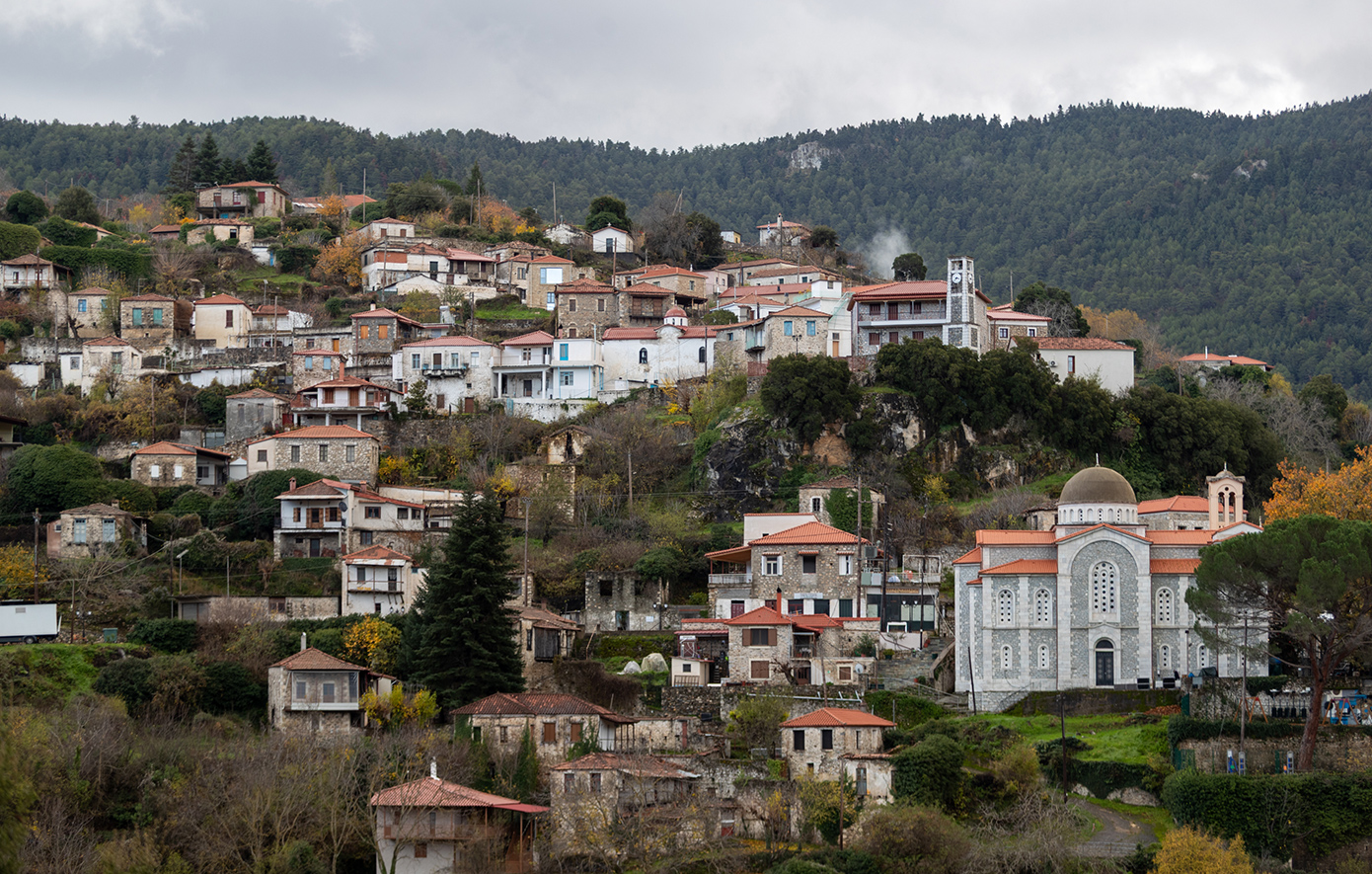 Γιατί τον Φεβρουάριο όλοι οι δρόμοι οδηγούν στη Βαμβακού Λακωνίας