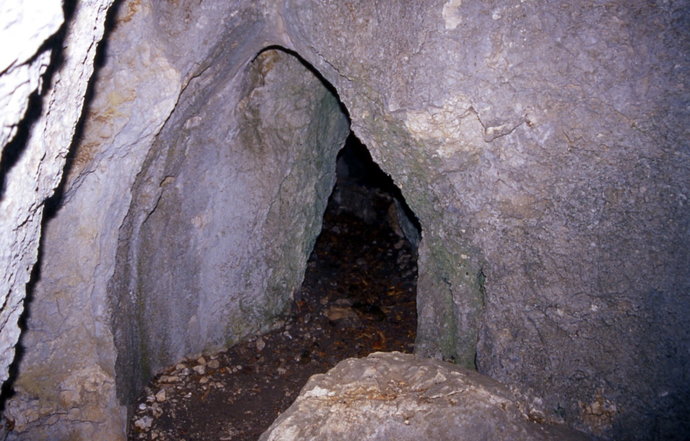 Σε χειμερία νάρκη στις φωλιές τους οι αρκούδες του Κέντρου Προστασίας Αρκούδας στο Νυμφαίο