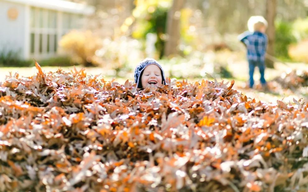 Παιδάκι εξαφανίζεται… σε σωρό από φύλλα: Το παιχνίδι με τον παππού που πήγε όλο λαθος