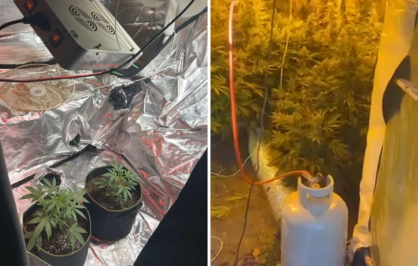 Η ΕΛ.ΑΣ. εξάρθρωσε κύκλωμα καλλιέργειας ναρκωτικών στη Ρόδο &#8211; Εντοπίστηκε πλήρες εργαστήριο υδροπονικής κάνναβης