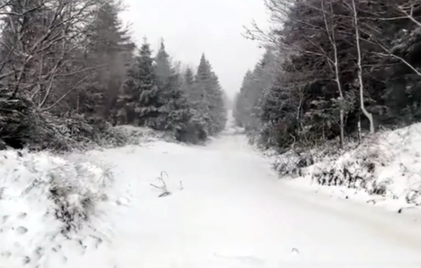 Στα λευκά «ντύθηκε» η Εύβοια &#8211; Πού χιόνισε