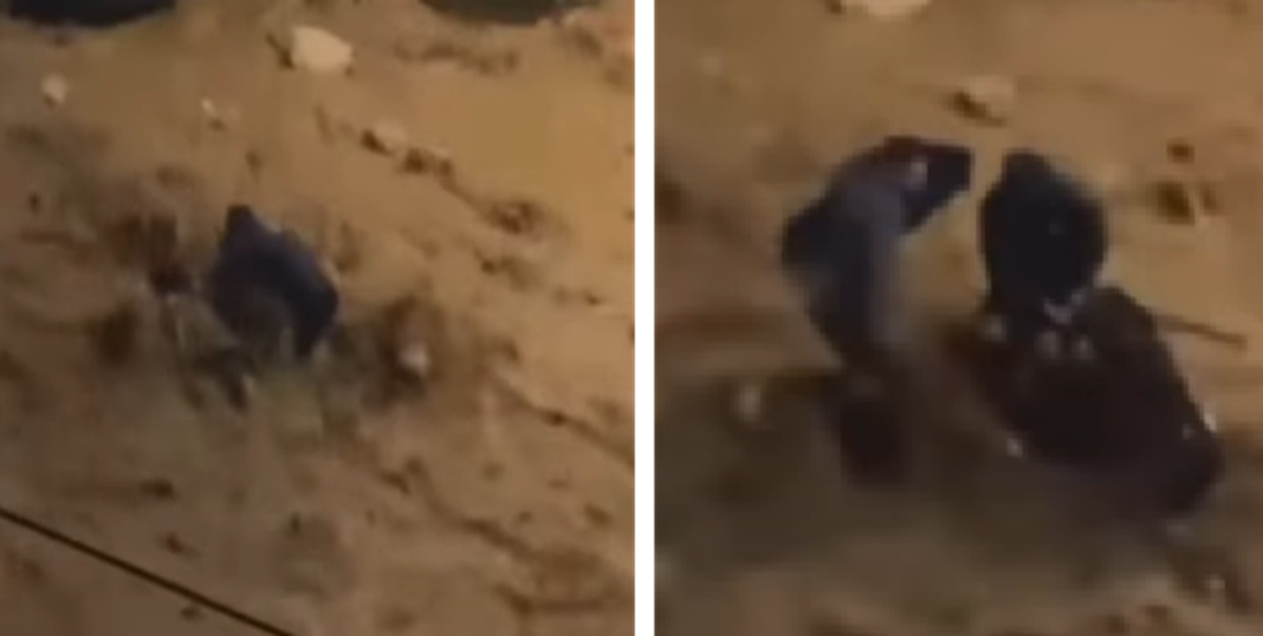 Δραματική διάσωση από τον χείμαρρο της Γλυφάδας – Δύο άνδρες έσωσαν γυναίκα από τα ορμητικά νερά λίγο πριν παρασυρθεί