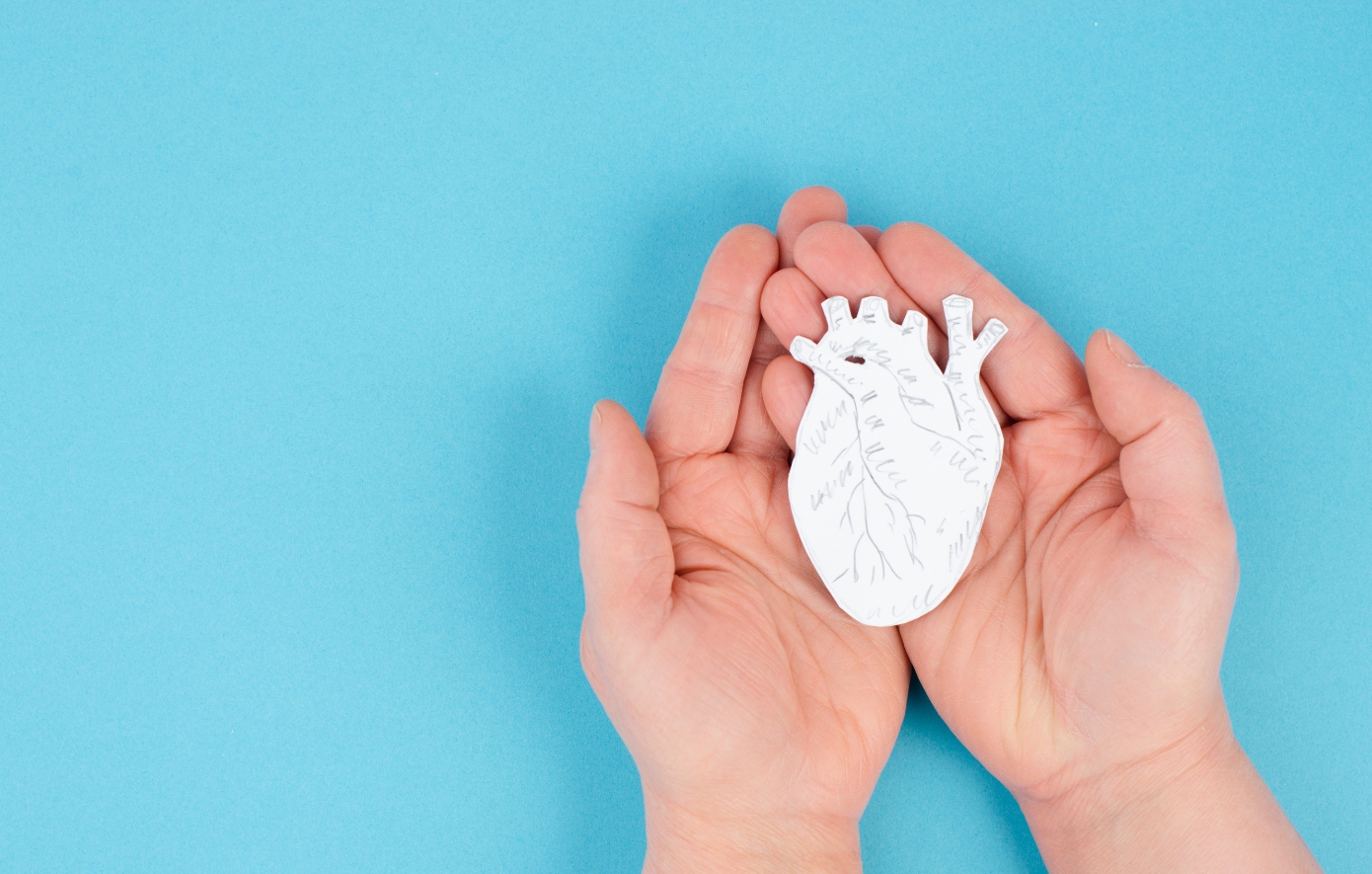 Ο καρδιακός μυς μπορεί να αναγεννηθεί μετά από έμφραγμα, σύμφωνα με νέα έρευνα