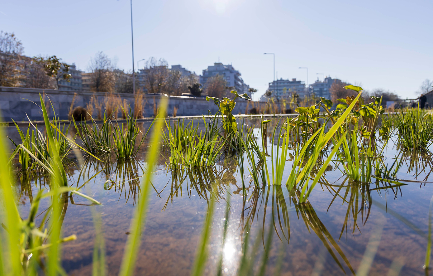 Παραδόθηκε ο αναπλασμένος Ιαπωνικός Κήπος του Νερού στη Νέα Παραλία Θεσσαλονίκης