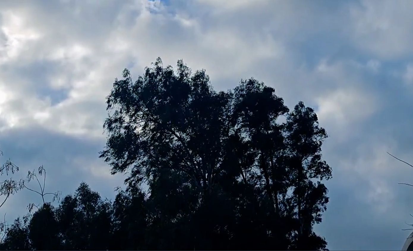 Τσουχτερό κρύο: Στους -9°C «βούτηξε» σήμερα η θερμοκρασία &#8211; Χιόνια στα πεδινά και θυελλώδεις άνεμοι τη Δευτέρα