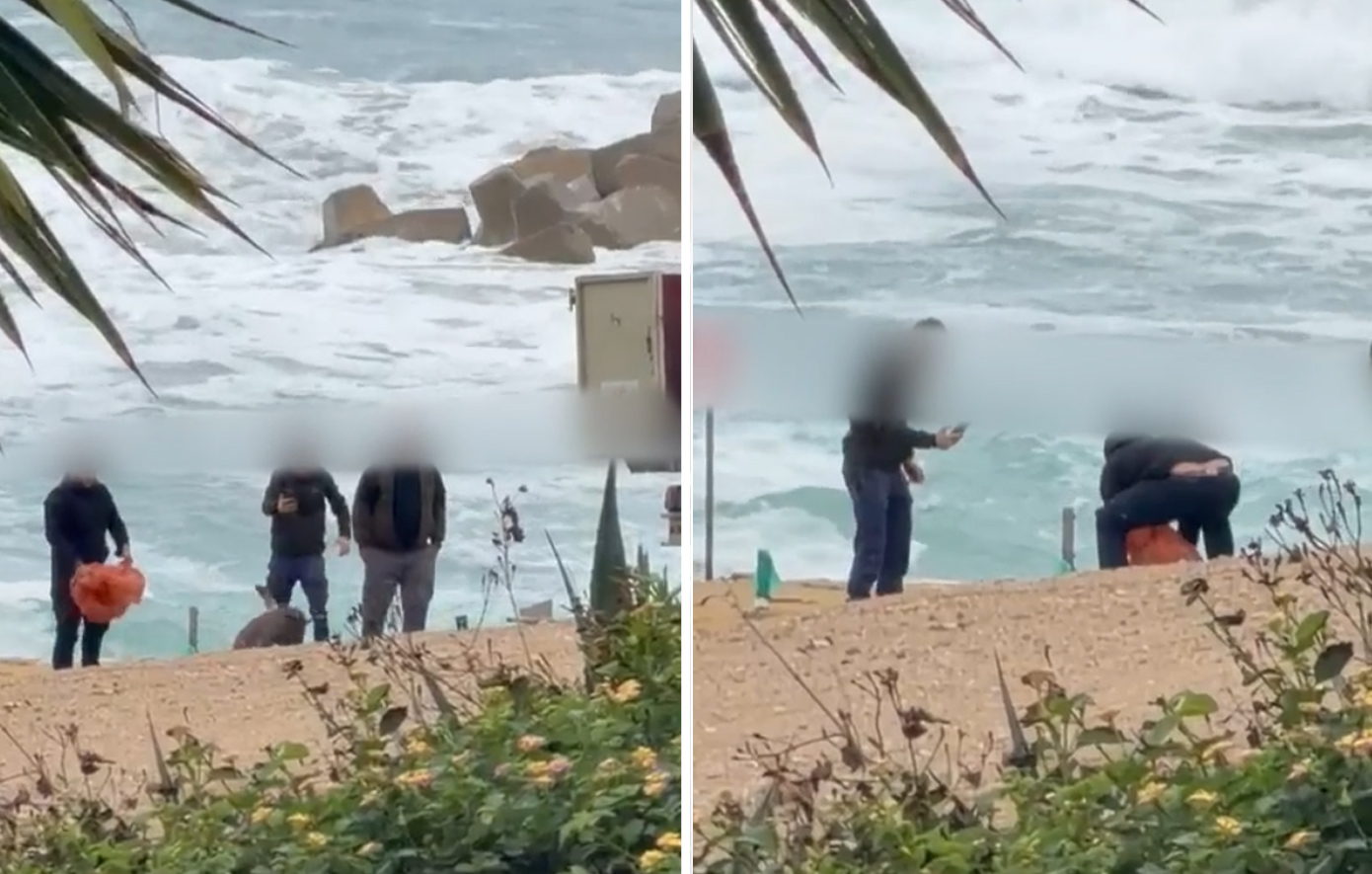 Βίντεο σοκ με κακοποίηση νεκρής χελώνας στην Πάφο: Ελεύθεροι οι τέσσερις εμπλεκόμενοι