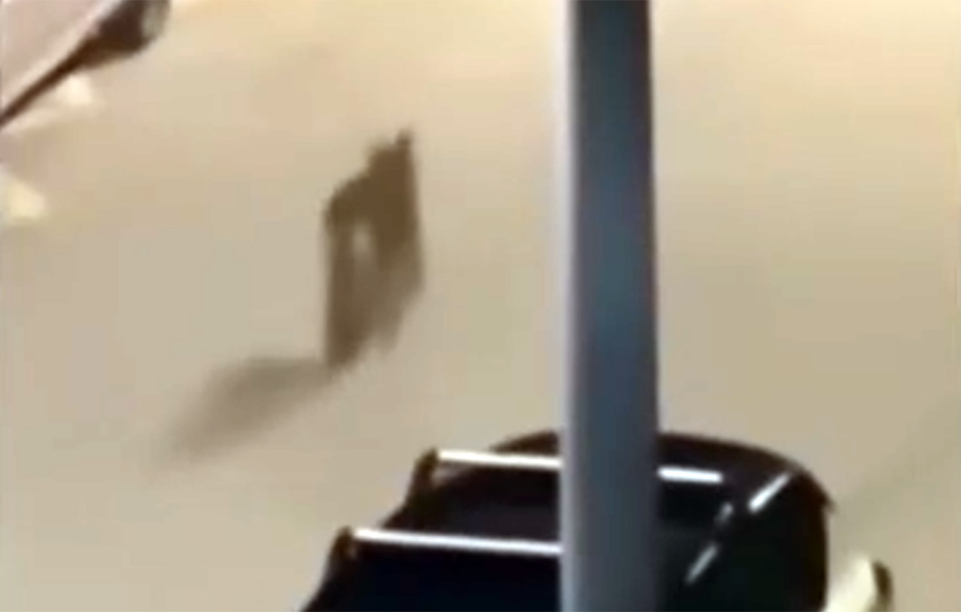 Συναγερμός στο Χαϊδάρι για τον λύκο που περιπλανιέται στους δρόμους &#8211; «Προσοχή στις βόλτες που κάνουν οι ιδιοκτήτες των σκύλων»