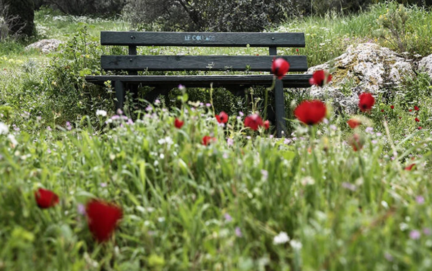Η άχρηστη πληροφορία της ημέρας 22/1/2025
