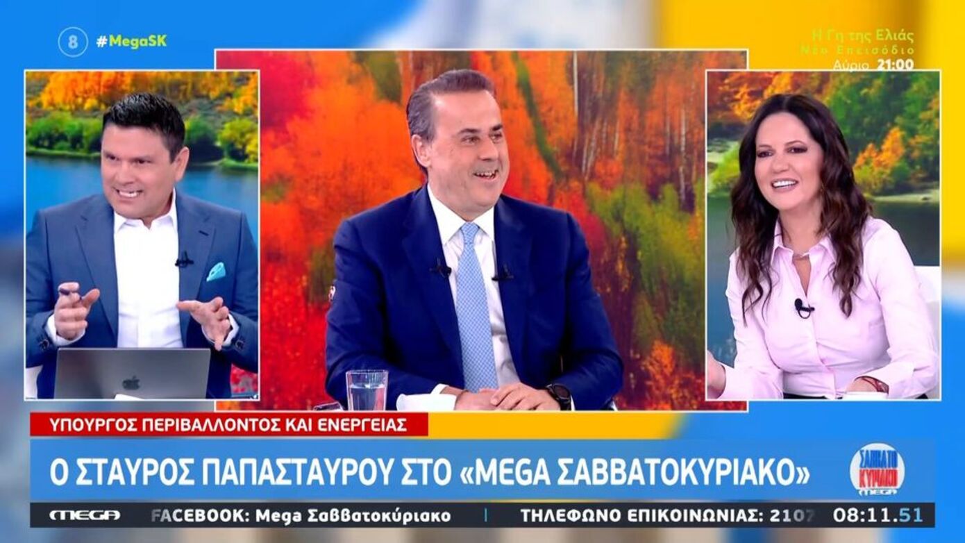 Παπασταύρου: Η Ελλάδα μπορεί να λειτουργήσει ως κόμβος ώστε να μεταφέρεται ηλεκτρική ενέργεια από τη Σαουδική Αραβία στην Ευρώπη