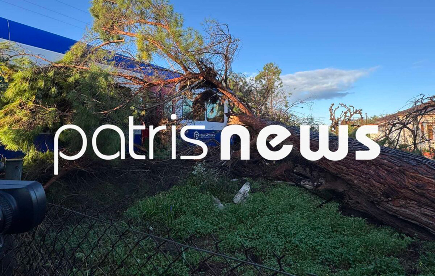 Πεύκο έπεσε πάνω σε τρένο που εκτελούσε το δρομολόγιο Πύργος-Κατάκολο – Στο νοσοκομείο ο μηχανοδηγός