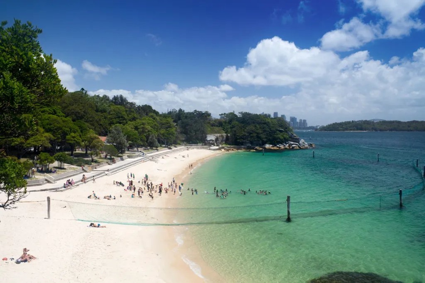 Καρχαρίας επιτέθηκε σε 12χρονο σε παραλία στο Σίδνεϊ &#8211; Το παιδί παλεύει για τη ζωή του