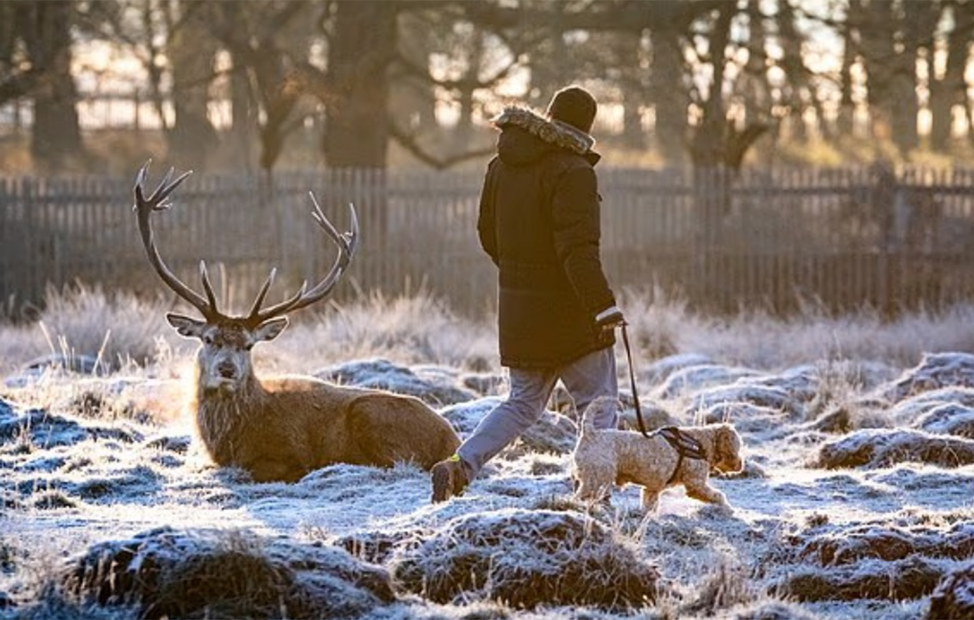 Παγετός πλήττει το Ηνωμένο Βασίλειο: Κλείνουν αεροδρόμια και σχολεία – Δείτε φωτογραφίες