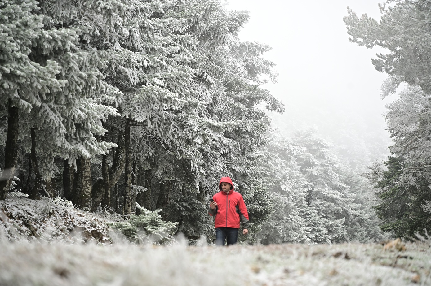 Βγάζει δόντια ο καιρός από την Τρίτη: Τσουχτερό κρύο και χιονοπτώσεις &#8211; Ποιες περιοχές θα επηρεαστούν, τι θα γίνει στην Αττική