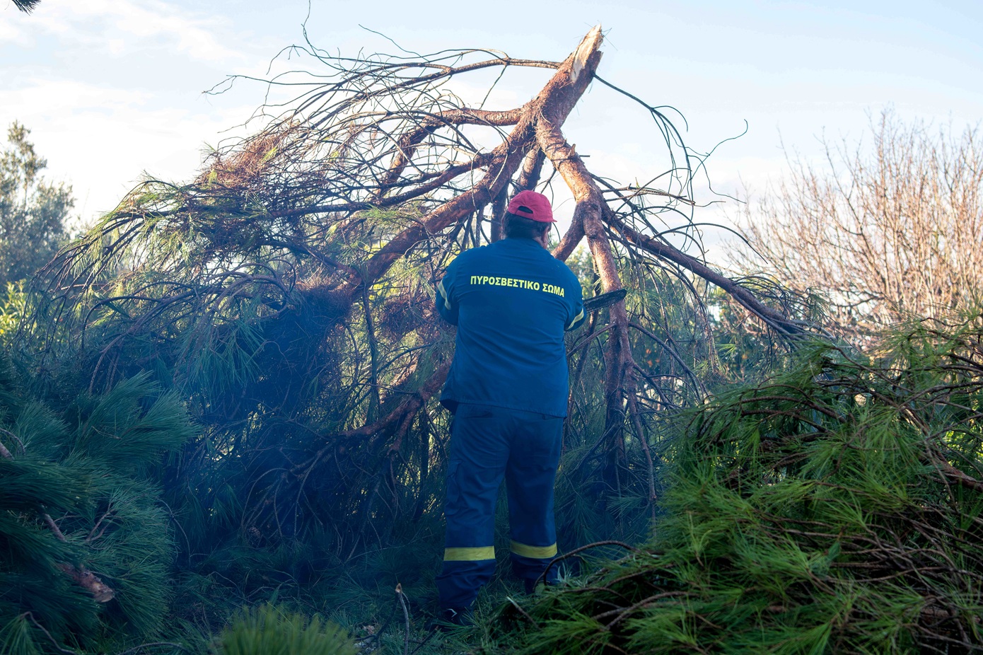 Πτώση δέντρων στη γραμμή του Οδοντωτού Σιδηροδρόμου Διακοπτού-Καλαβρύτων &#8211; Ποια δρομολόγια ματαιώνονται