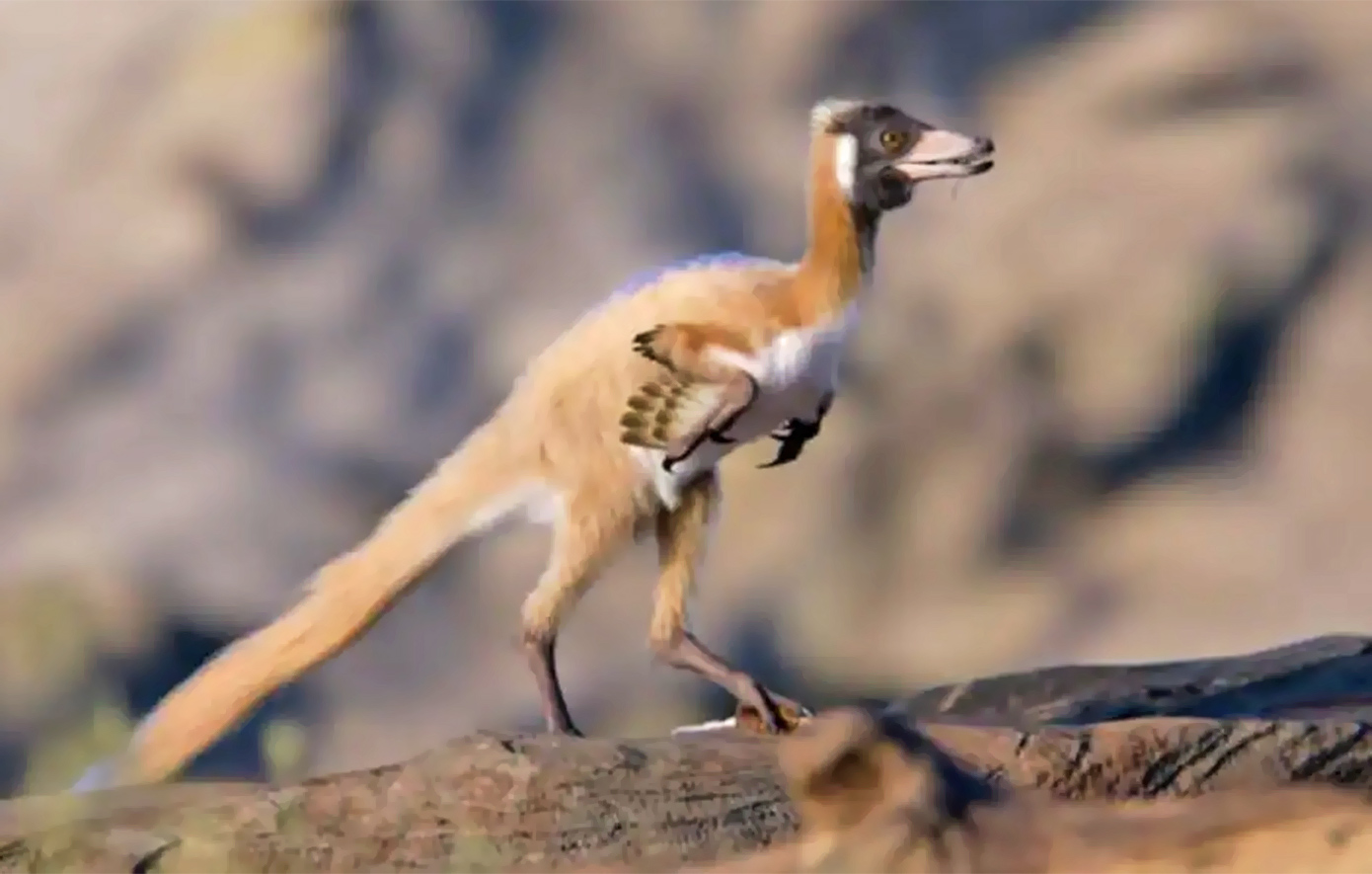 Ένας λιλιπούτειος T-Rex: Ανακαλύφθηκε στην Παταγονία σκελετός μικροσκοπικού δεινοσαύρου ηλικίας 90 εκατομμυρίων ετών