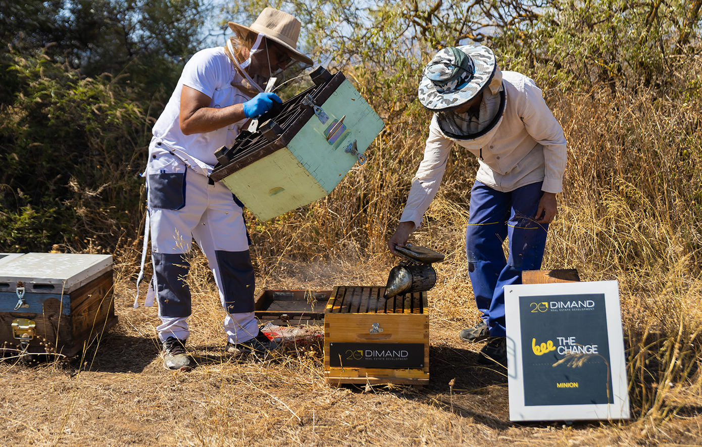 Η DIMAND φέρνει τις κυψέλες στην καρδιά της πόλης &#8211; 30.000 μέλισσες στην ταράτσα του ΜΙΝΙΟΝ