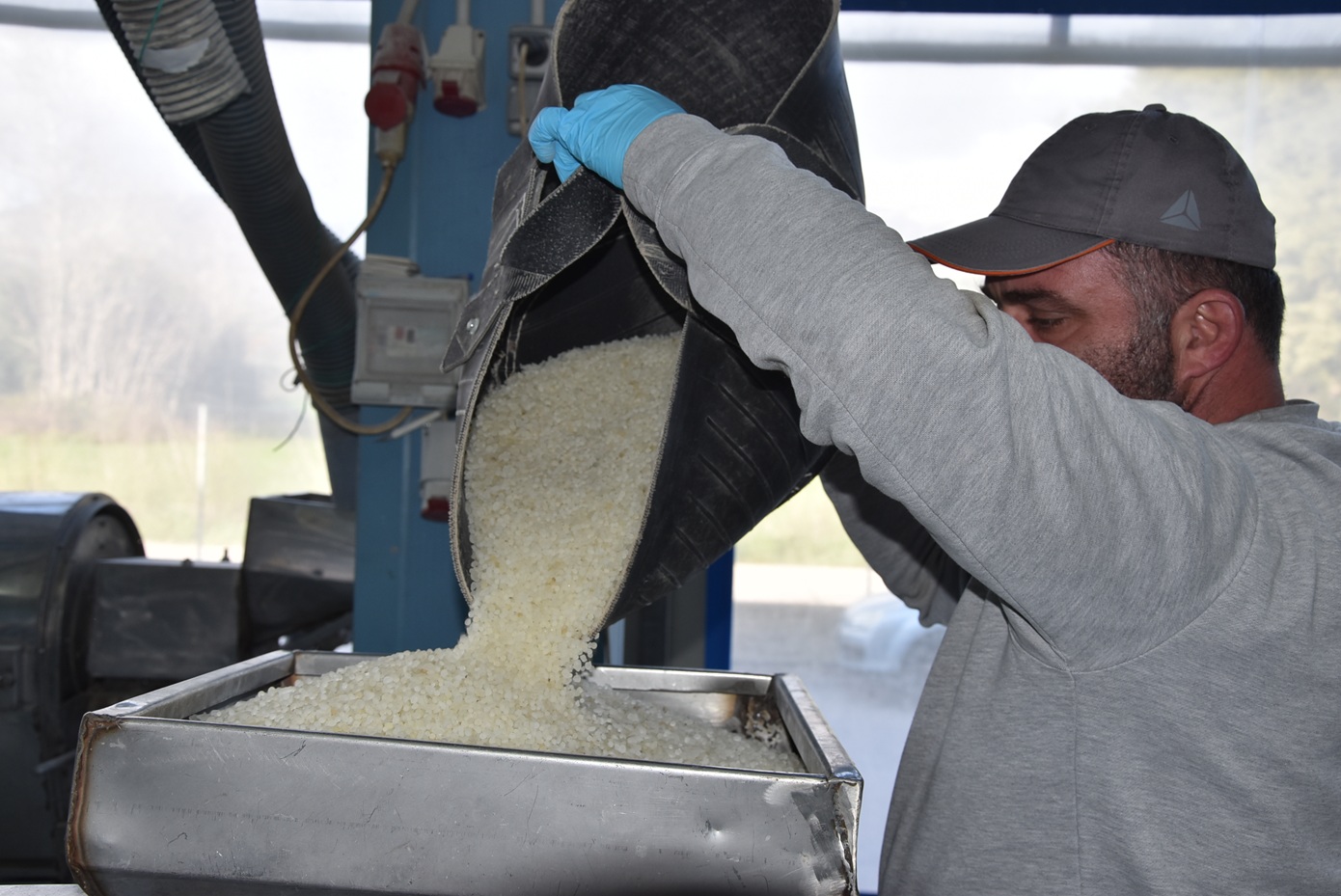 Η μαστίχα Χίου «τονώνει» την οικονομία: Πάνω από 20 εκατ. ευρώ στους παραγωγούς έως τον Μάιο