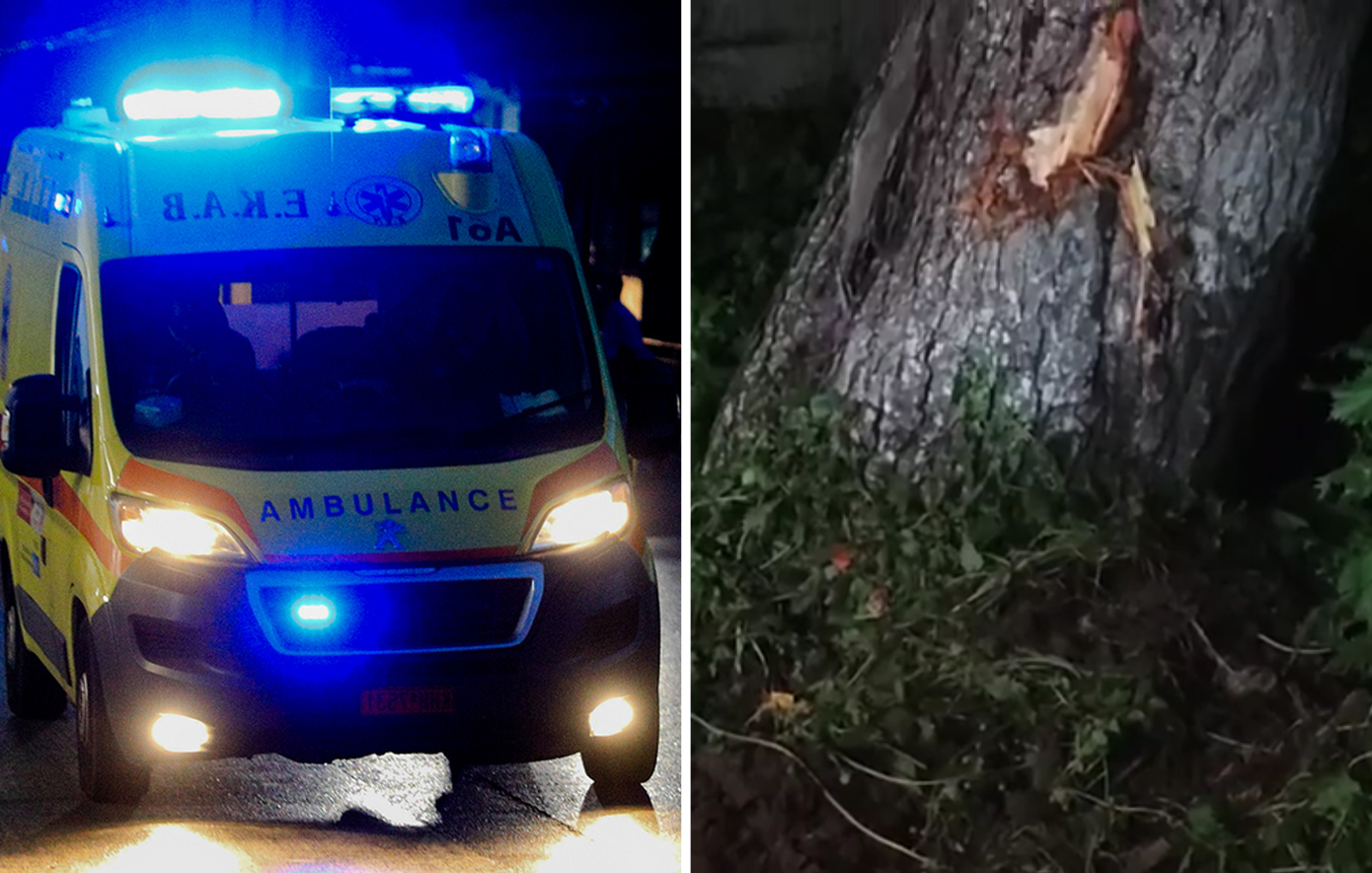 Τροχαίο στη Λούτσα: Το αμάξι καρφώθηκε σε δέντρο, σκοτώθηκε ακαριαία ο 15χρονος &#8211; «Τι έκανα», είπε ο συνομήλικος οδηγός