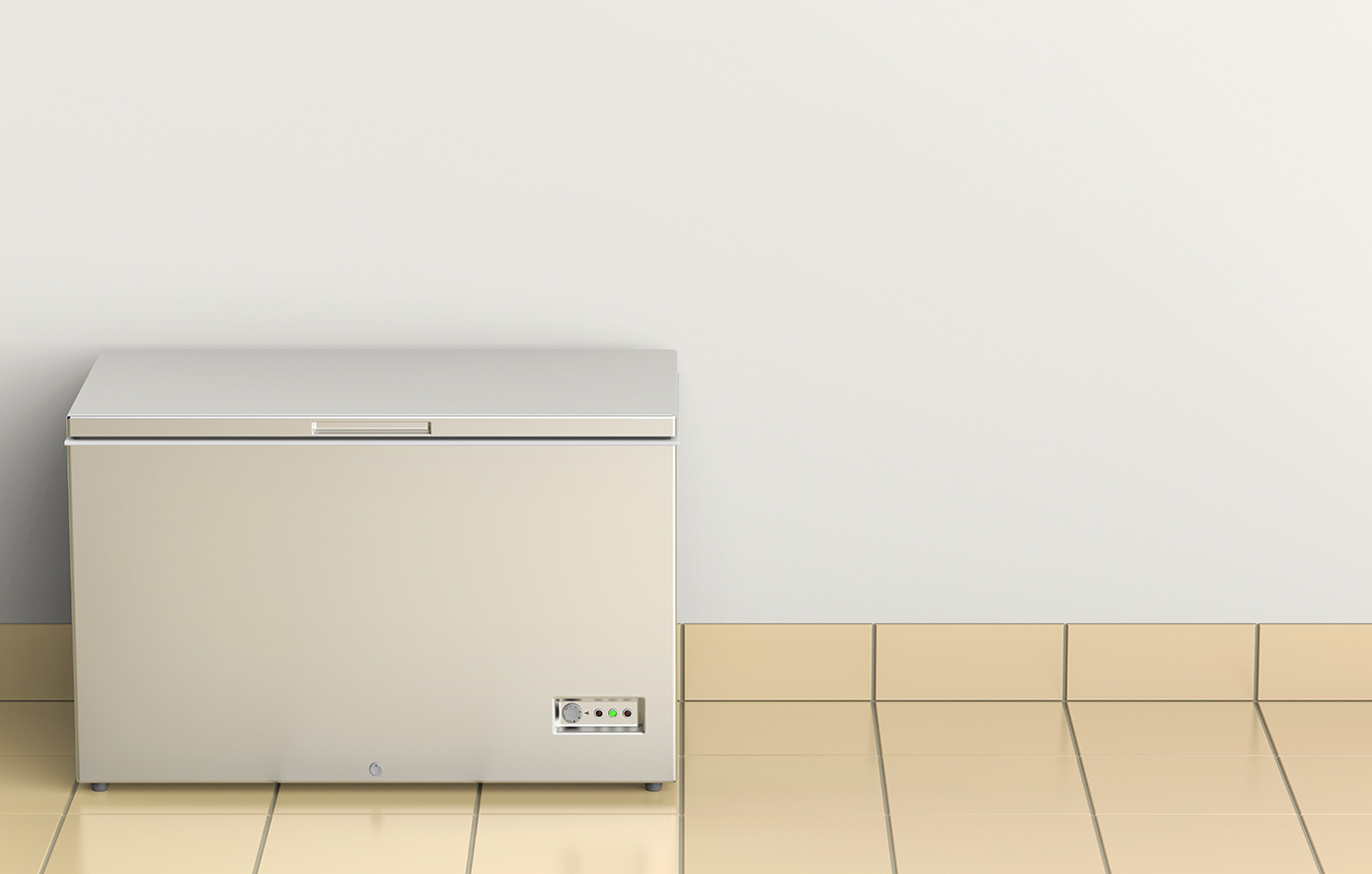 Νεκρά μωρά σε καταψύκτη: Η μητέρα τους τα έβαλε μέσα ζωντανά &#8211; Έκρυβε τις εγκυμοσύνες, λέγοντας ότι πάχυνε