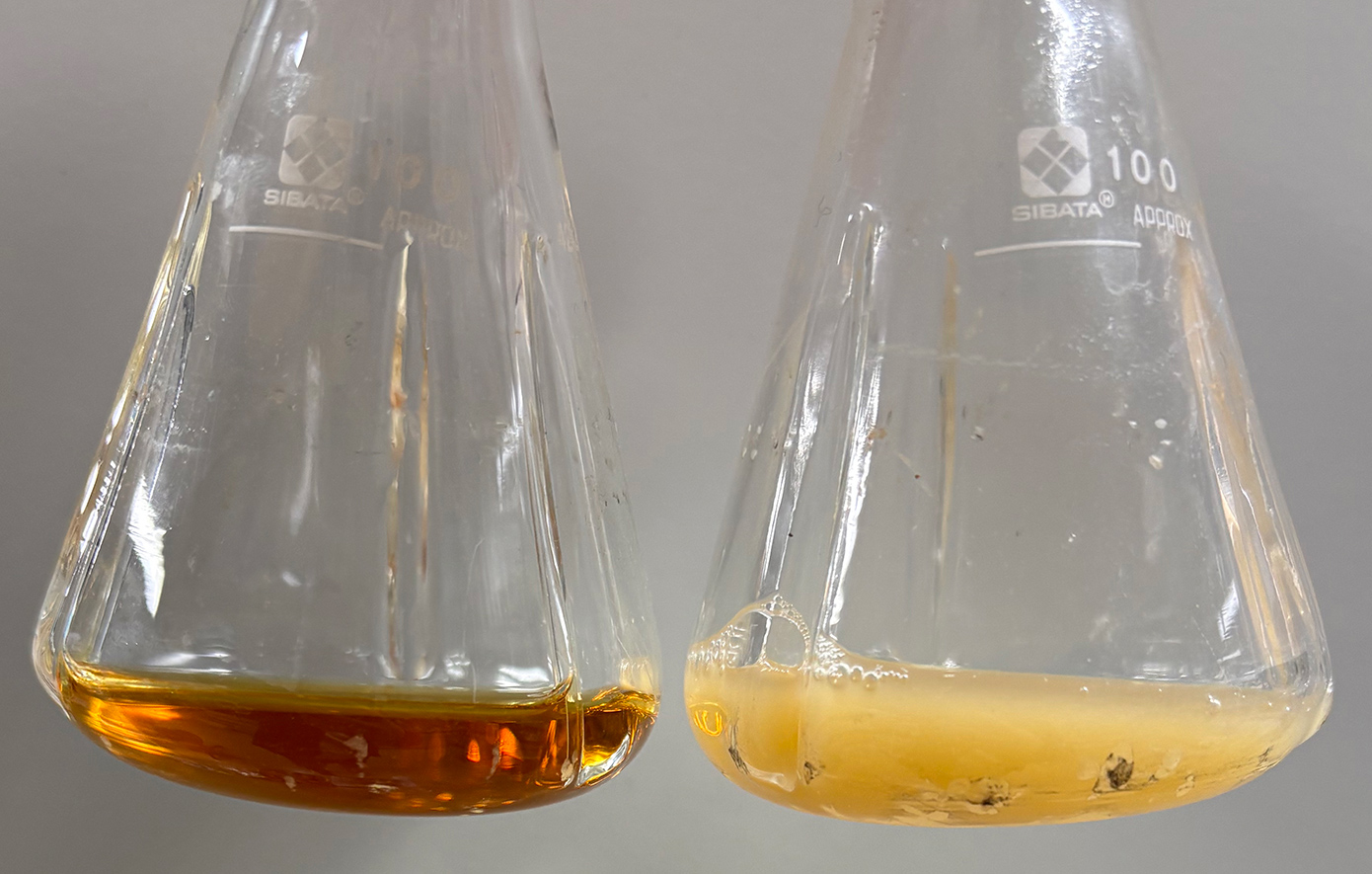 Ερευνητές κατάφεραν να μετατρέψουν βακτήριο σε «όπλο» κατά του καρκίνου και του HIV