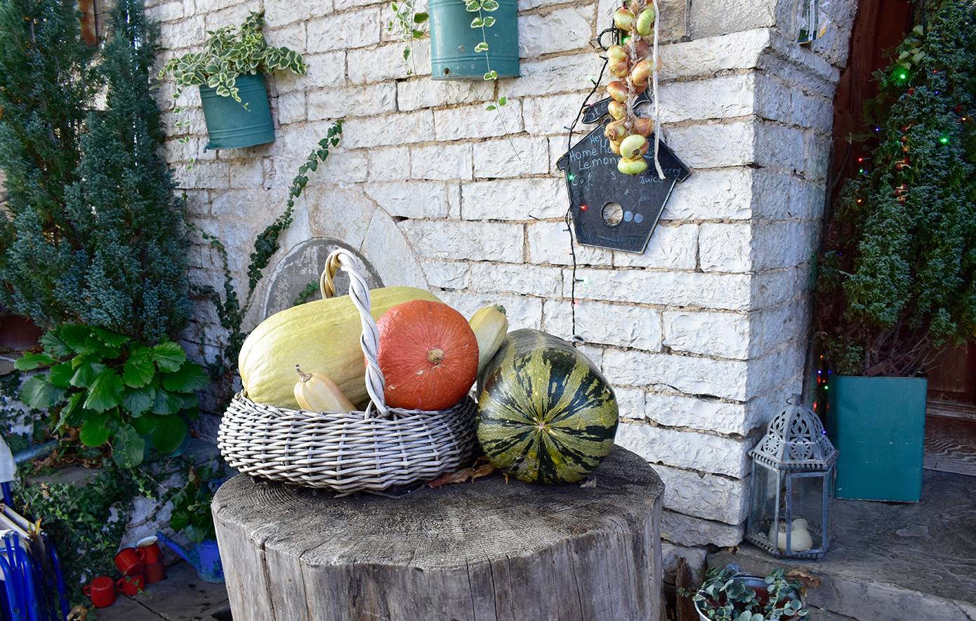 Καπέσοβο Ζαγόρι