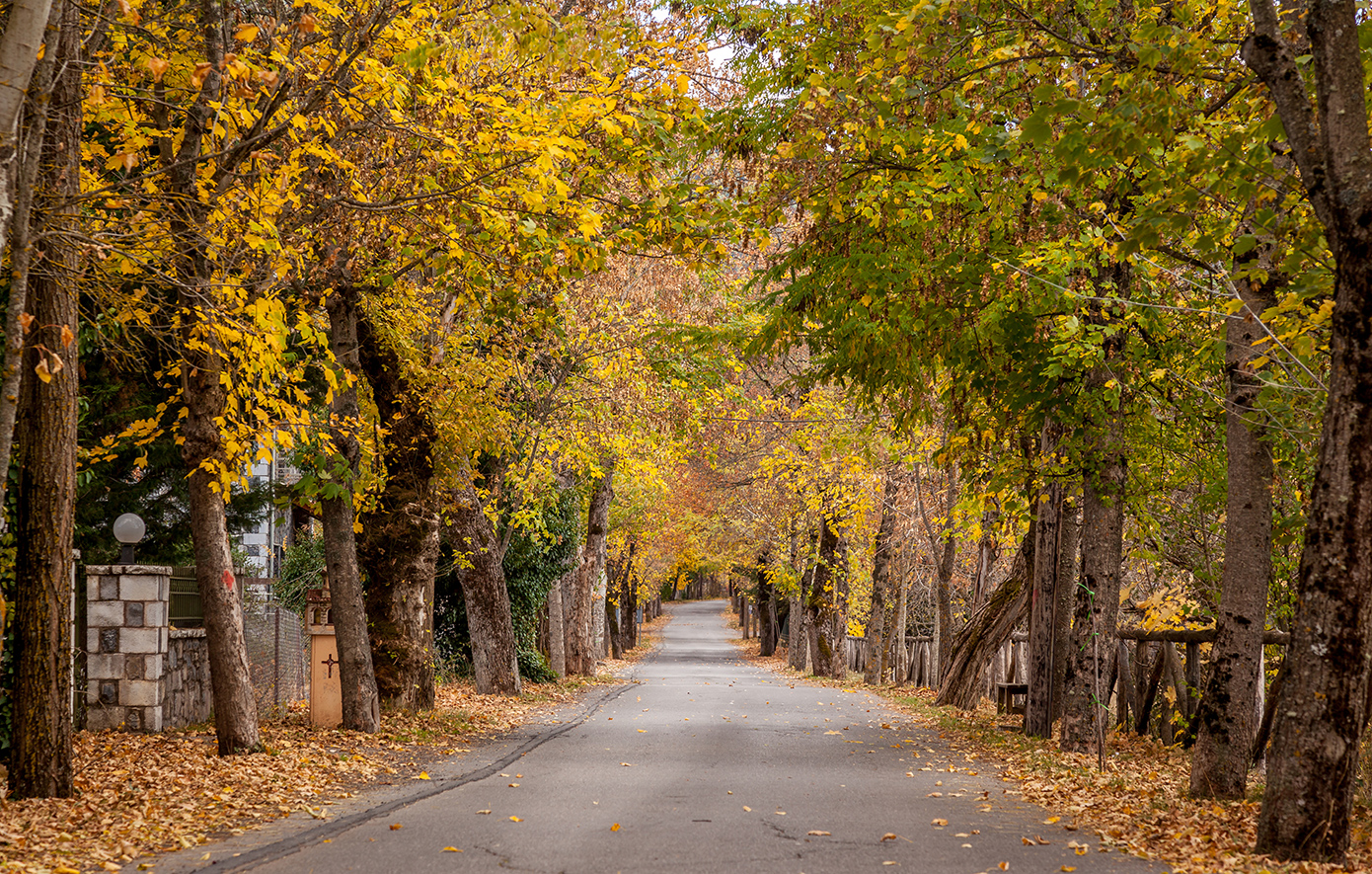 Βυτίνα Αρκαδία