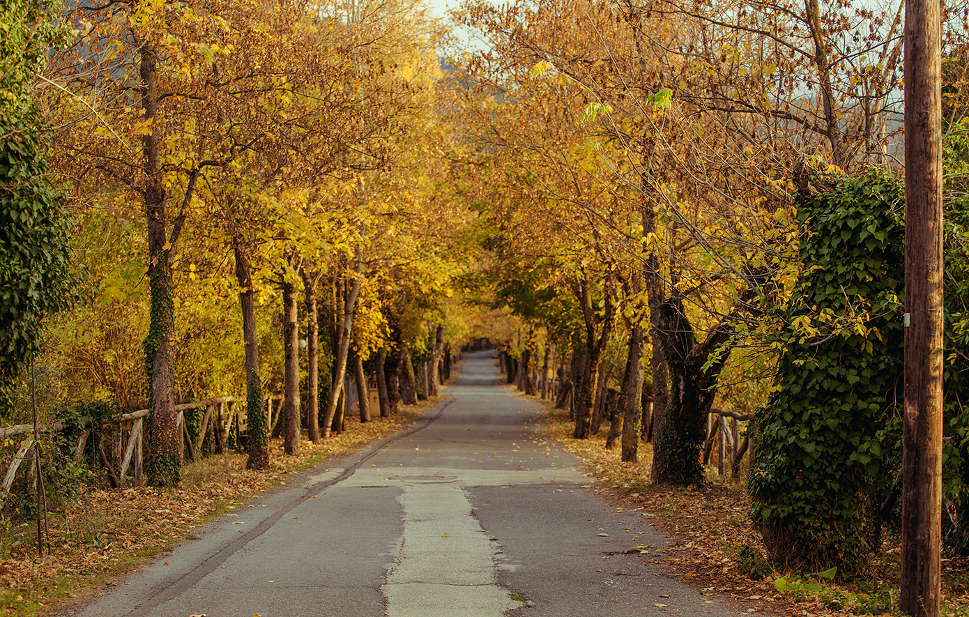 Βυτίνα Αρκαδία