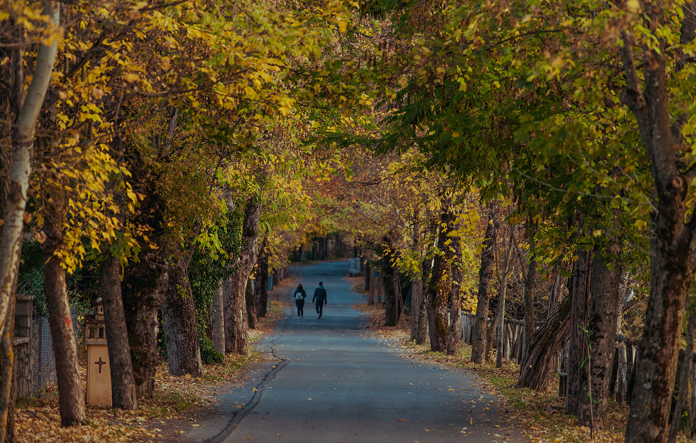 Περπατώντας στον «Δρόμο της Αγάπης» στη Βυτίνα
