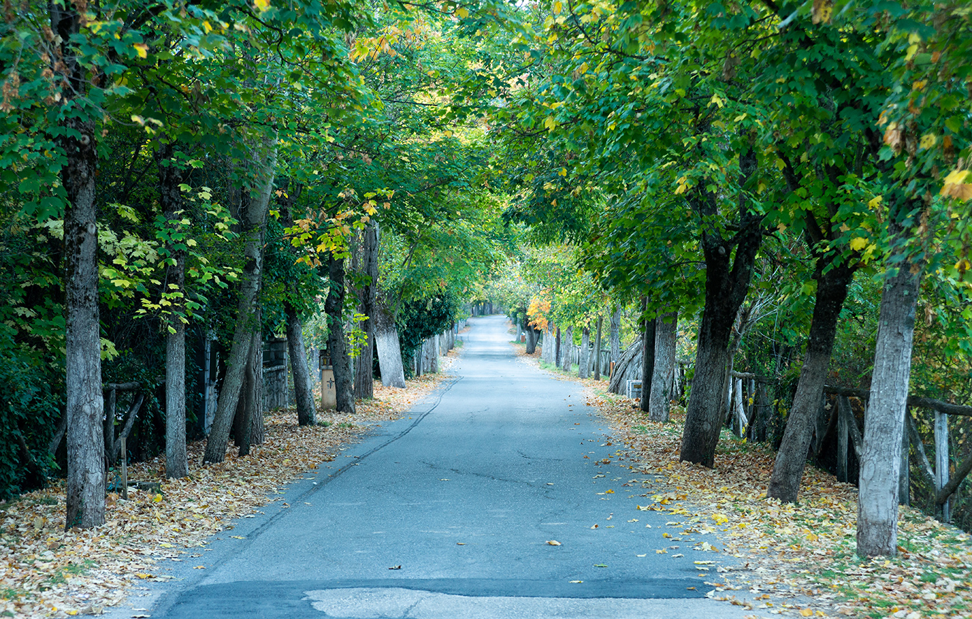 Βυτίνα Αρκαδία