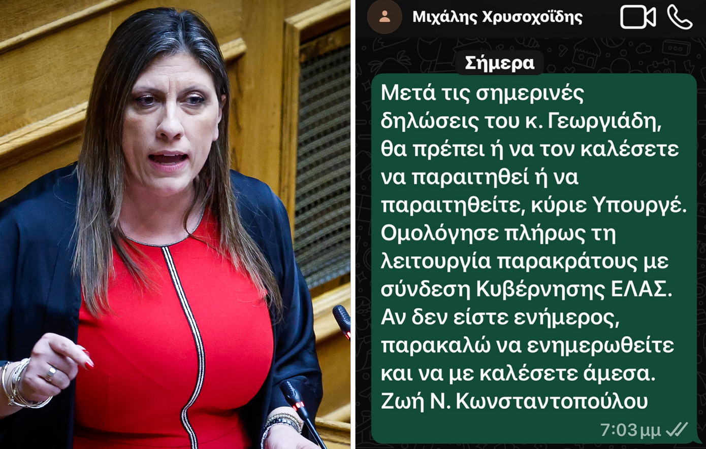 Η Κωνσταντοπούλου δημοσίευσε SMS προς τον Χρυσοχοΐδη: Αναφορά σε παρακράτος, γιατί αστυνομικός ενημέρωσε τον Γεωργιάδη για τη μήνυση