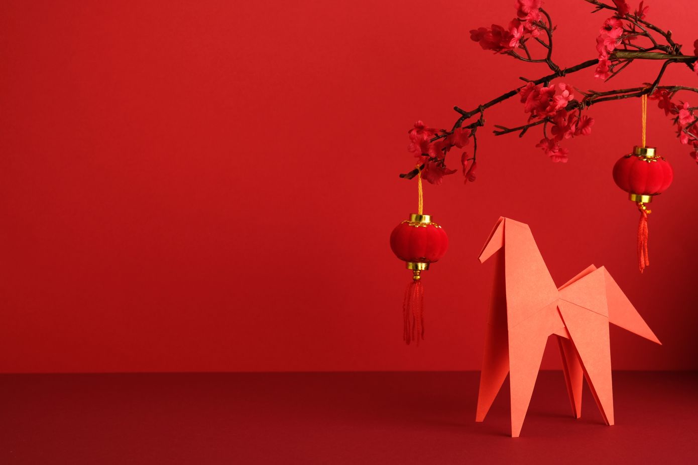 Φενγκ Σούι: 4 φυτά που φέρνουν τύχη και θετική ενέργεια τη χρονιά του Πύρινου Αλόγου