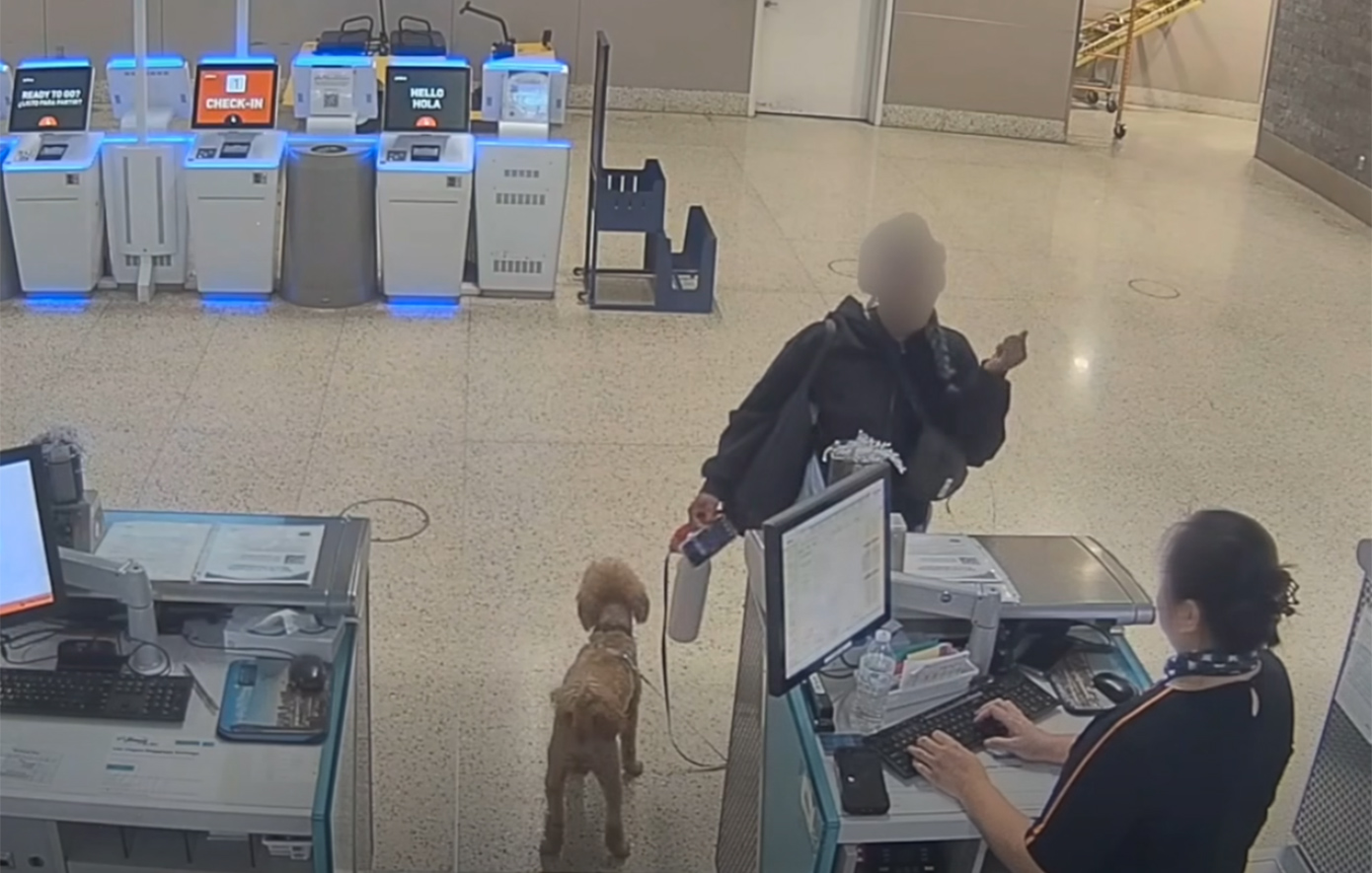 Αδιανόητο περιστατικό εγκατάλειψης ζώου: Παράτησε τον σκύλο της στο αεροδρόμιο και πήγε να επιβιβαστεί &#8211; Δείτε το βίντεο