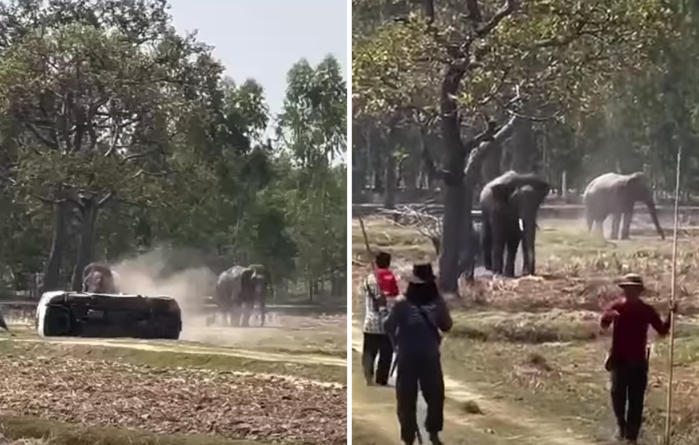 Εκτός ελέγχου ελέφαντας στην Ταΐλάνδη: Άρχισε να καταστρέφει τα πάντα όταν τον διέκοψαν κατά το ζευγάρωμα &#8211; Στο νοσοκομείο ο ιδιοκτήτης του