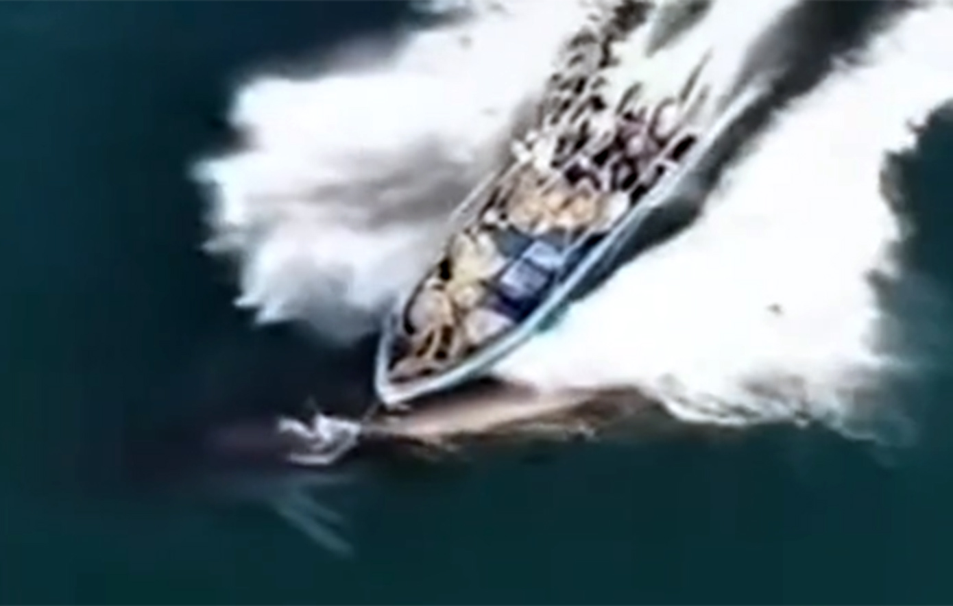 Η στιγμή που αλιευτικό σκάφος περνάει πάνω από φάλαινα και την τραυματίζει