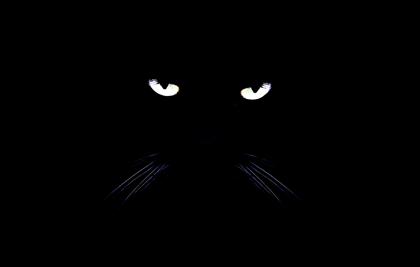 Παρασκευή και 13: Όσα δεν σου είπαν ποτέ για τη γρουσούζικη ημερομηνία