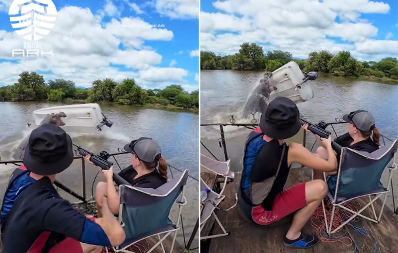 Τρομακτική στιγμή: Ιπποπόταμος αναποδογυρίζει βάρκα, ρίχνει τον φύλακα στο νερό ενώ ο πατέρας του παρακολουθεί ανήμπορος