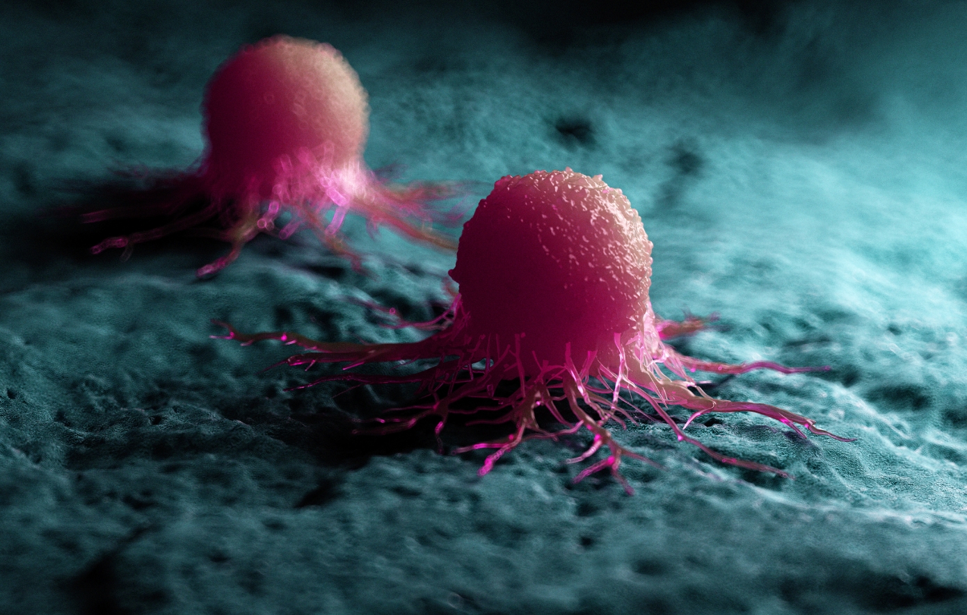 καρκινικά κύτταρα