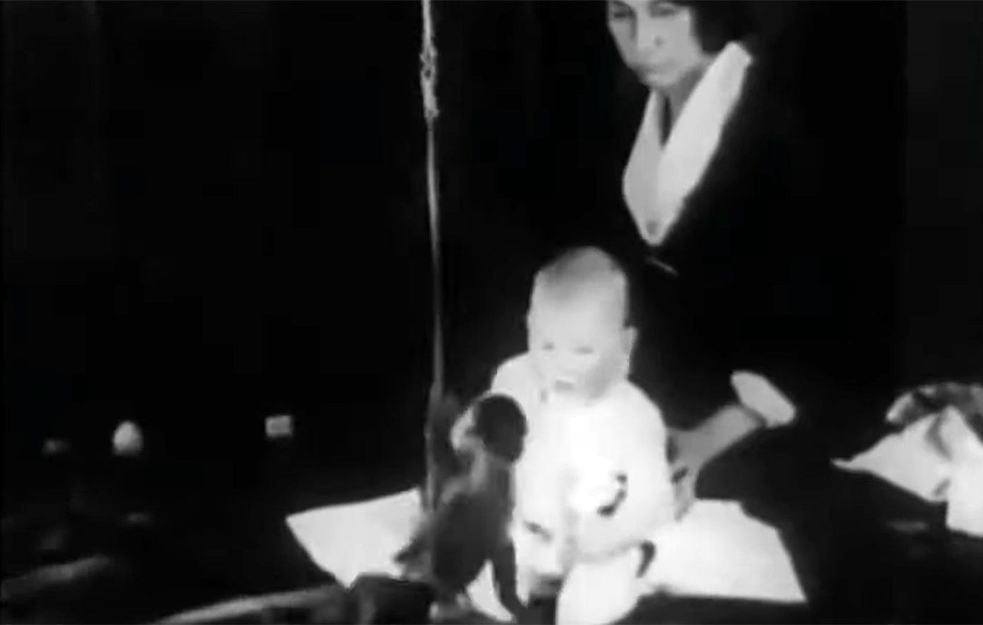 Το αγόρι που έμαθε να φοβάται: Η ιστορία πίσω από ένα από τα πιο ανήθικα πειράματα της ψυχολογίας