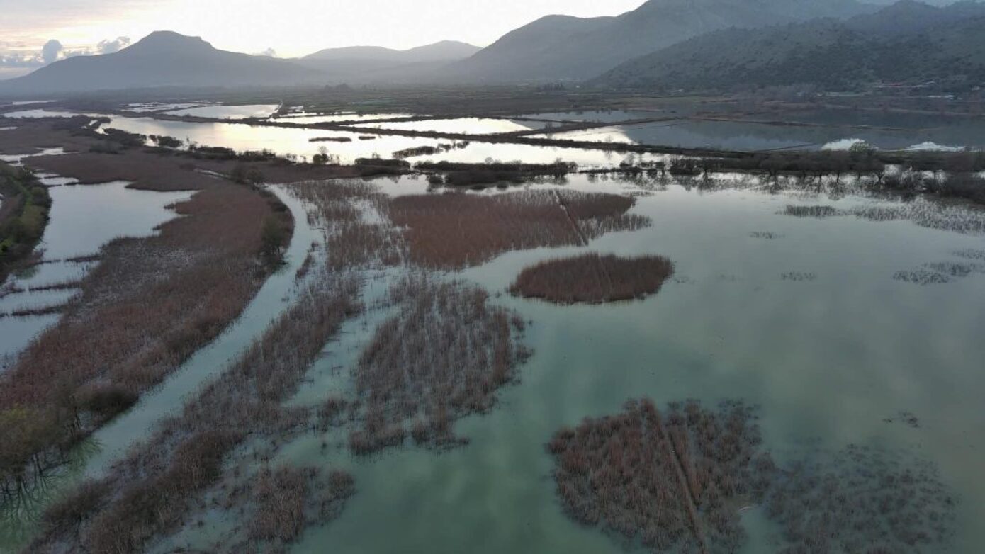 «Φούσκωσε» ο Λούρος από τις έντονες βροχοπτώσεις – «Πνίγηκαν» οι καλλιέργειες