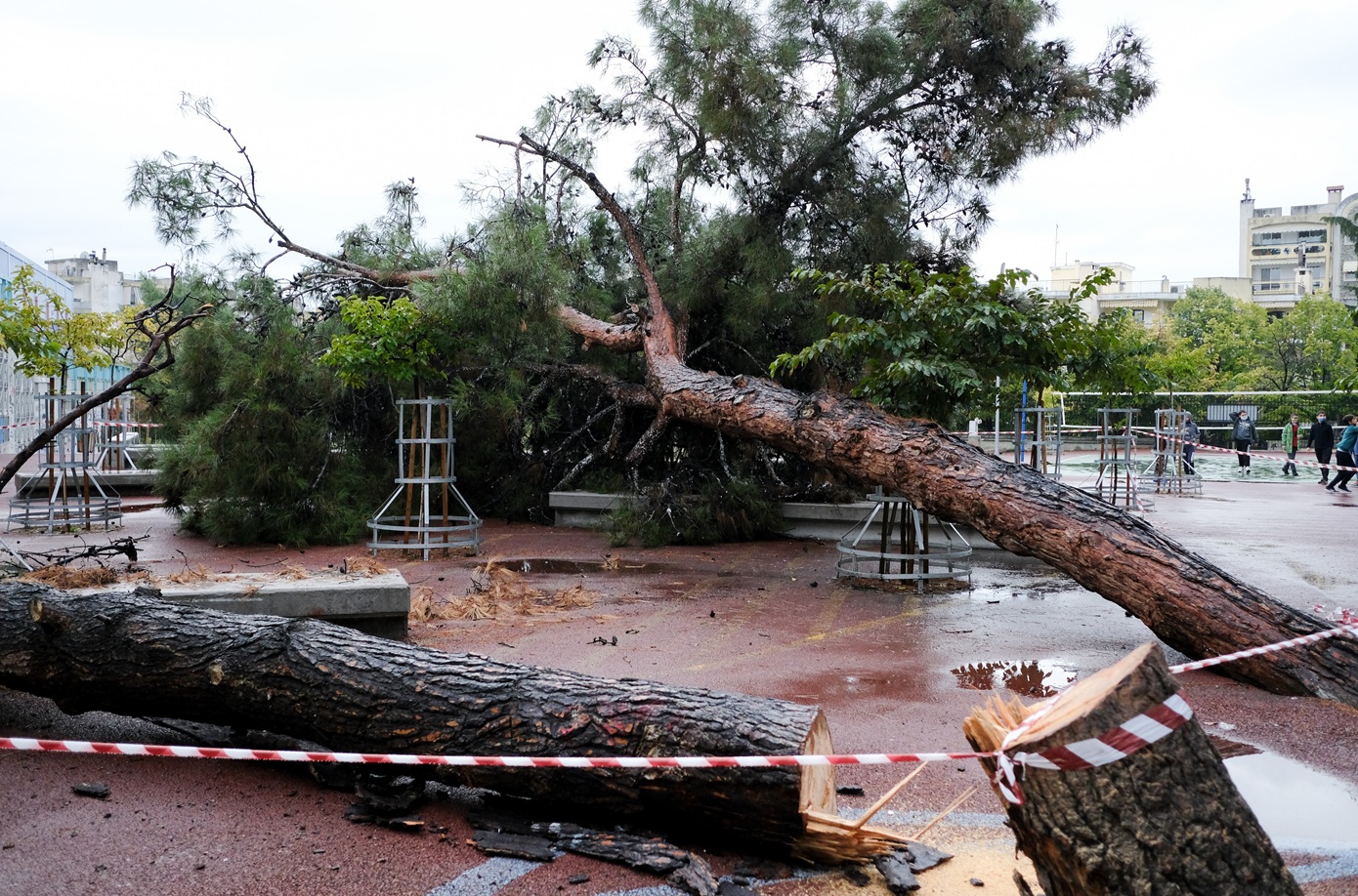 Θυελλώδεις άνεμοι πλήττουν τη Θεσσαλονίκη – Προβλήματα στην κυκλοφορία από πτώσεις δέντρων