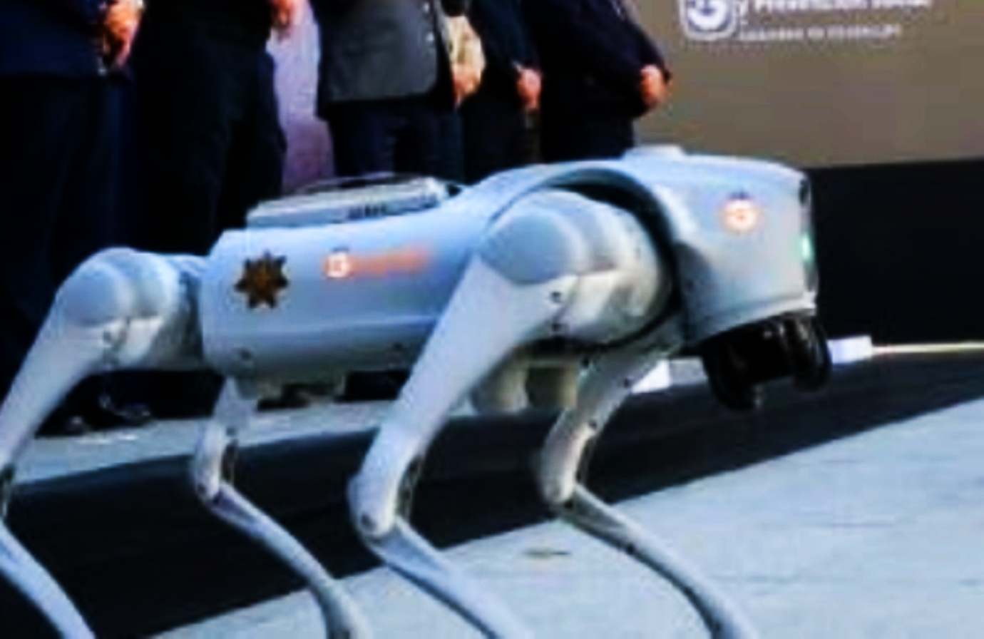 Παγκόσμιο Κύπελλο: Τα έξτρα ατού των σκύλων ρομπότ που επιστρατεύονται για την διοργάνωση!