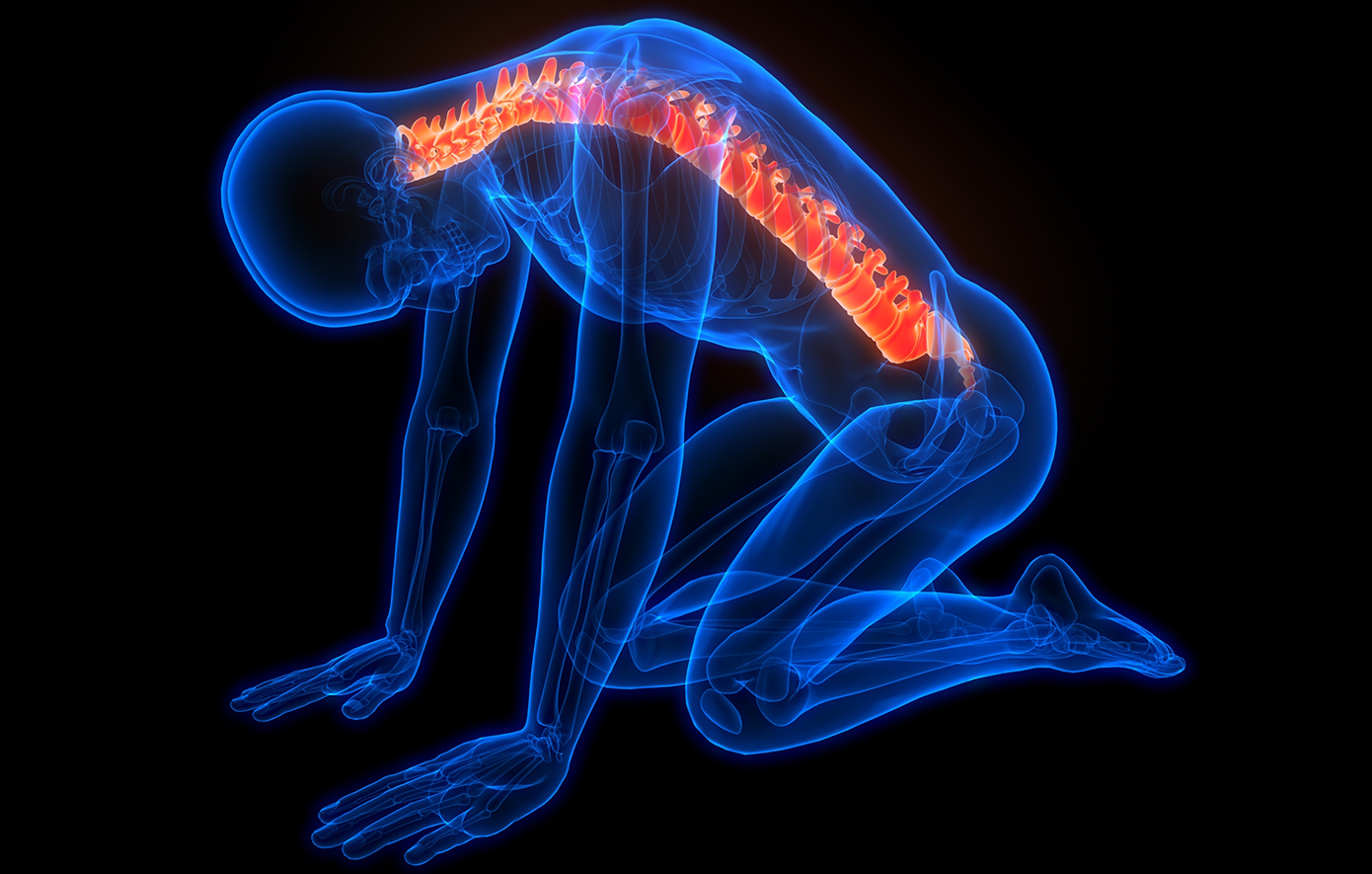 Επιστήμονες ανέπτυξαν μικροσκοπικούς νωτιαίους μυελούς από βλαστοκύτταρα για να θεραπεύσουν την παράλυση