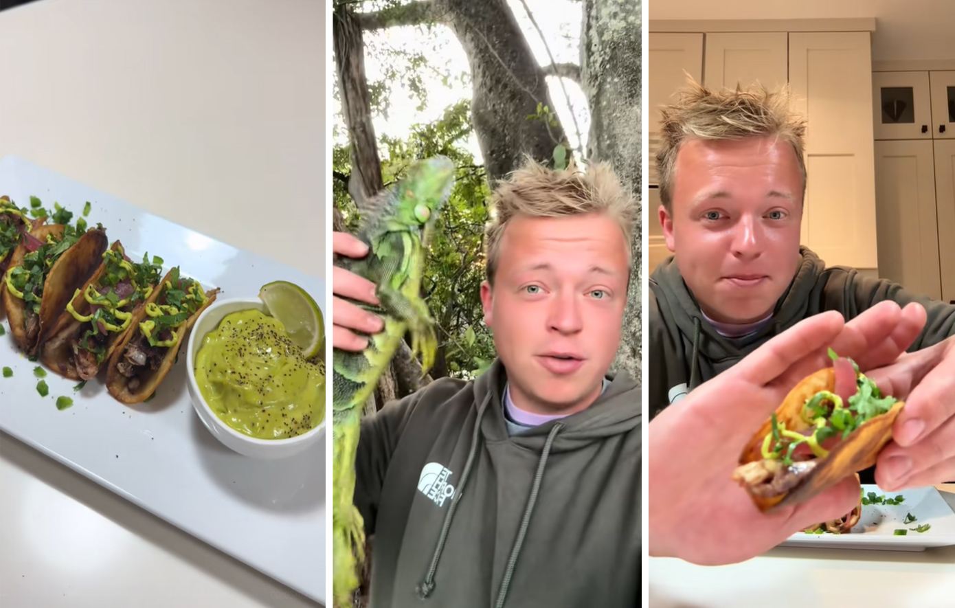 Μάγειρας φτιάχνει τάκος με παγωμένα ιγκουάνα που έπεσαν από δέντρα στη Φλόριντα και προκαλεί φρίκη: «21 ψυχές σε ένα γεύμα είναι τρελό»