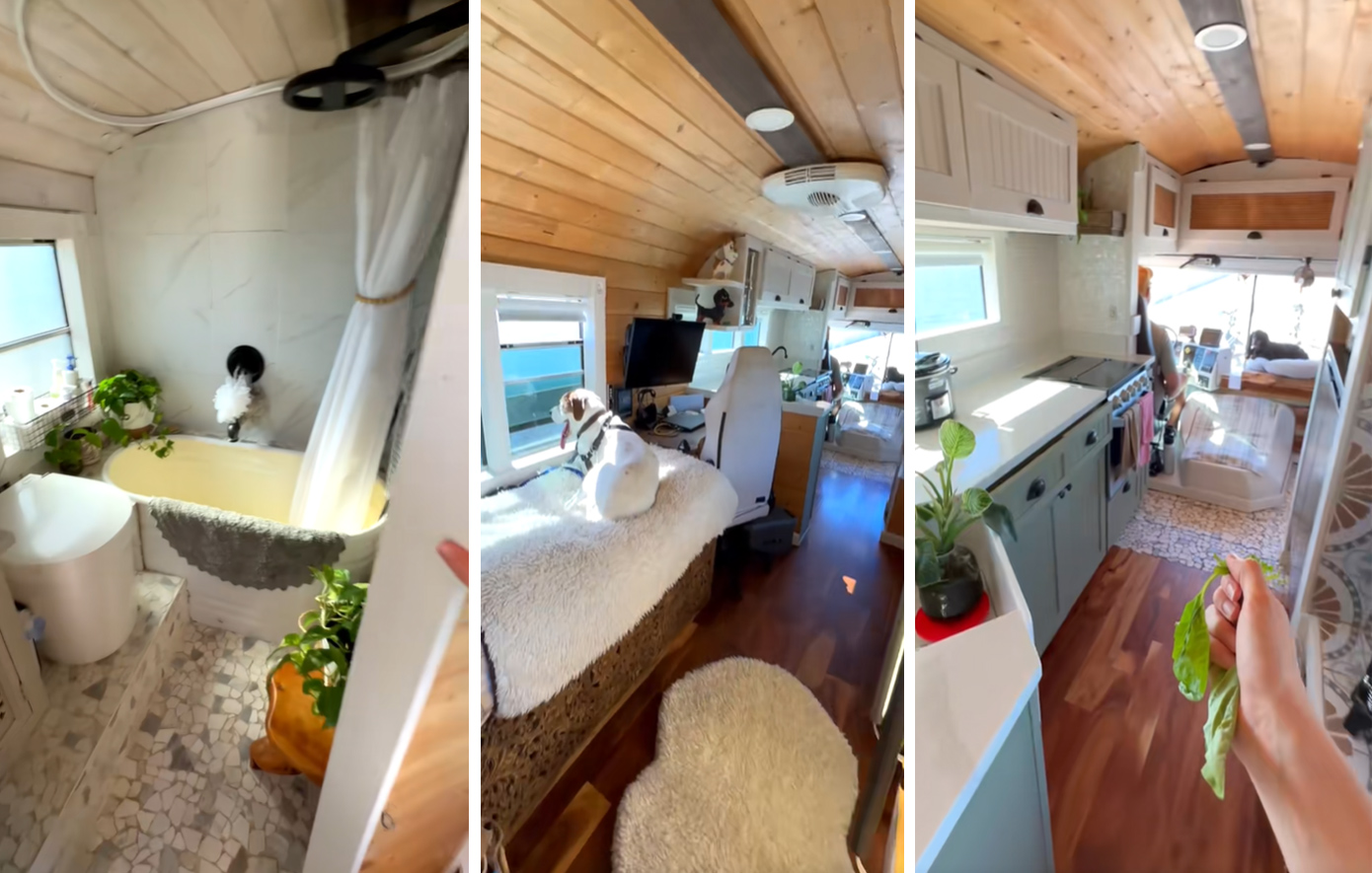 Αγόρασαν σχολικό λεωφορείο και το μετέτρεψαν στο παραθαλάσσιο σπίτι των ονείρων τους