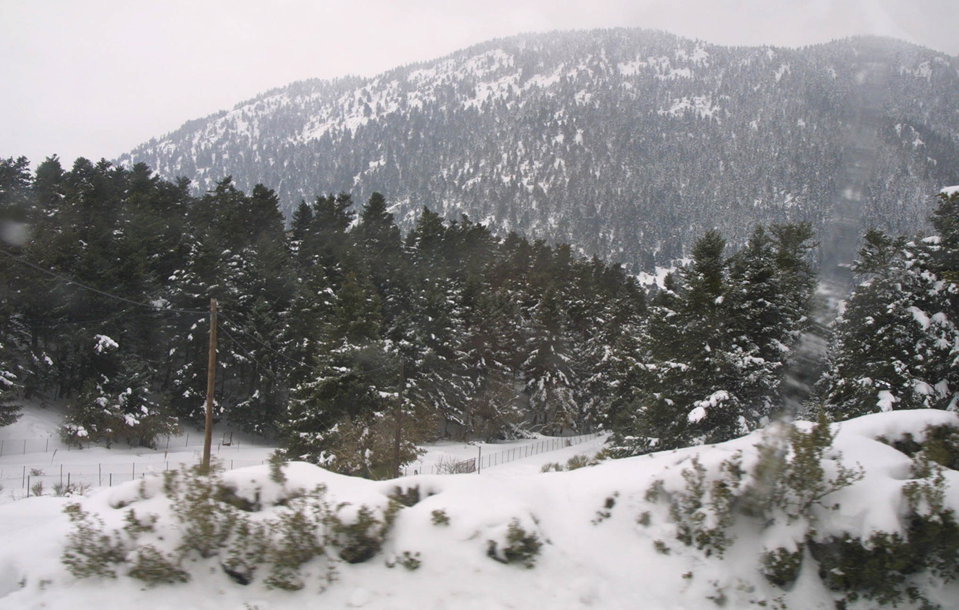 Παρνασσός: Επιχείρηση διάσωσης δύο ατόμων &#8211; Αποπροσανατολίστηκαν εξαιτίας της πυκνής ομίχλης