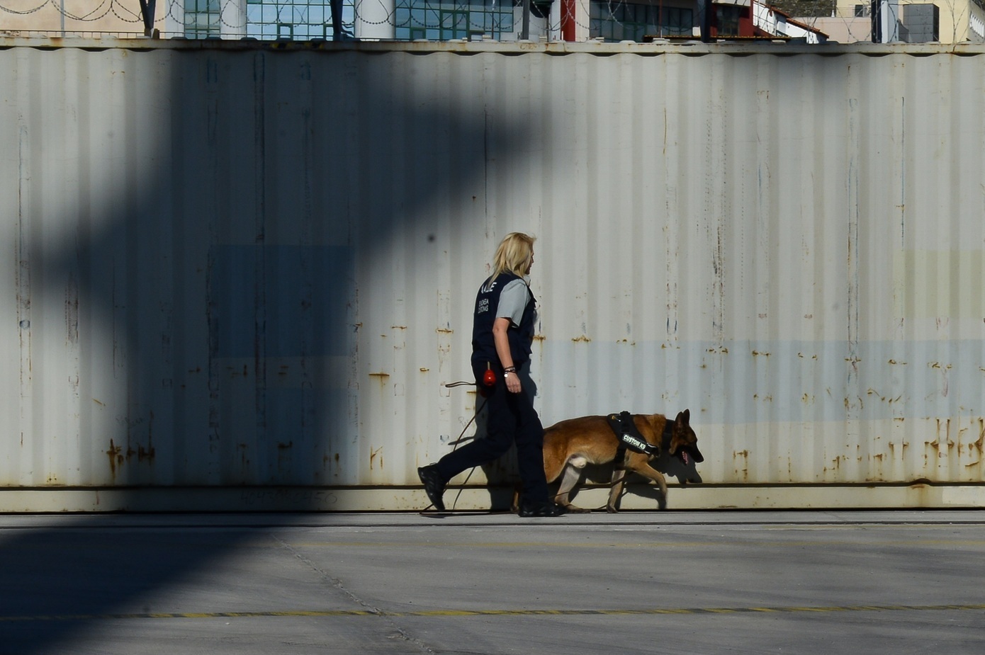 Διεθνές δίκτυο λαθρεμπορίου τσιγάρων αποκάλυψε η ΑΑΔΕ &#8211; Συλλήψεις στην Ελλάδα και σε άλλες χώρες