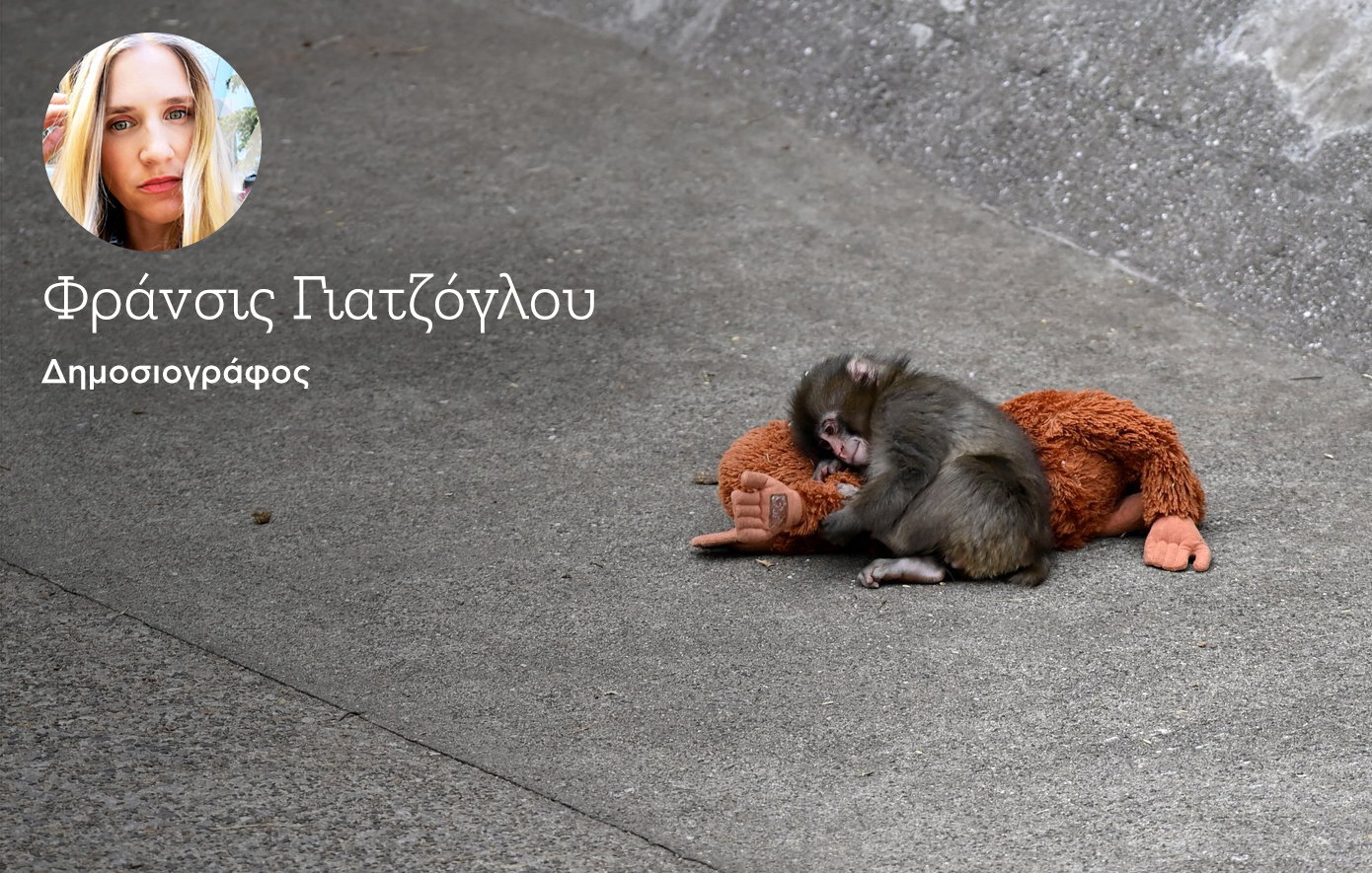 Γιατί ο Punch που αναζητούσε μια αγκαλιά συγκίνησε τόσο πολύ τον κόσμο