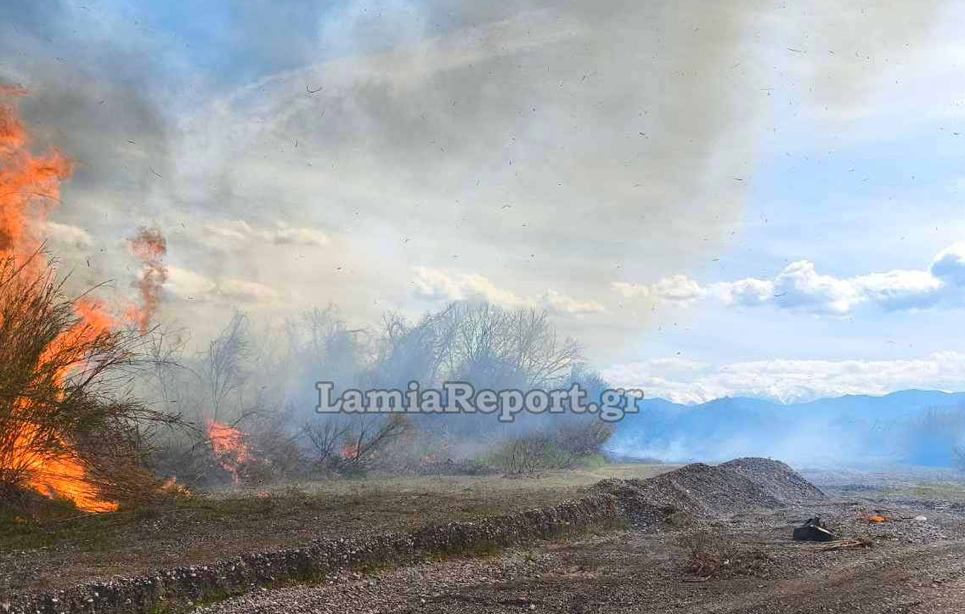 Πριν καλά-καλά ζεστάνει, άρχισαν οι πυρκαγιές: Μπαράζ διάσπαρτων εστιών φωτιάς πλήττει σήμερα τη Λαμία